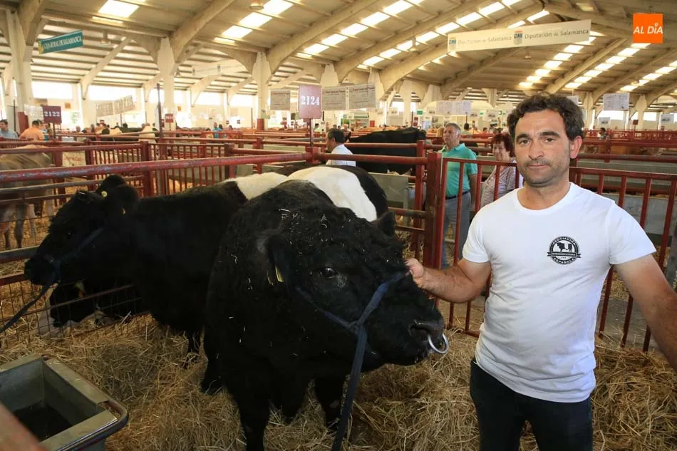 El ganadero salmantino, con los ejemplares de galloway. Fotos: Alberto Martín