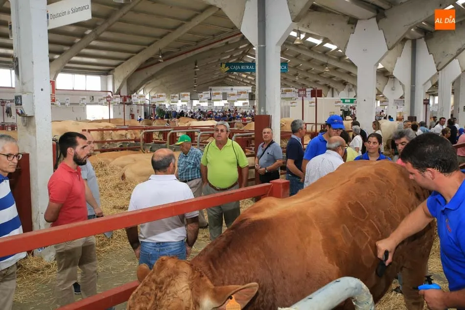 Foto 10 - El p&uacute;blico no defrauda en la tercera jornada de Salamaq