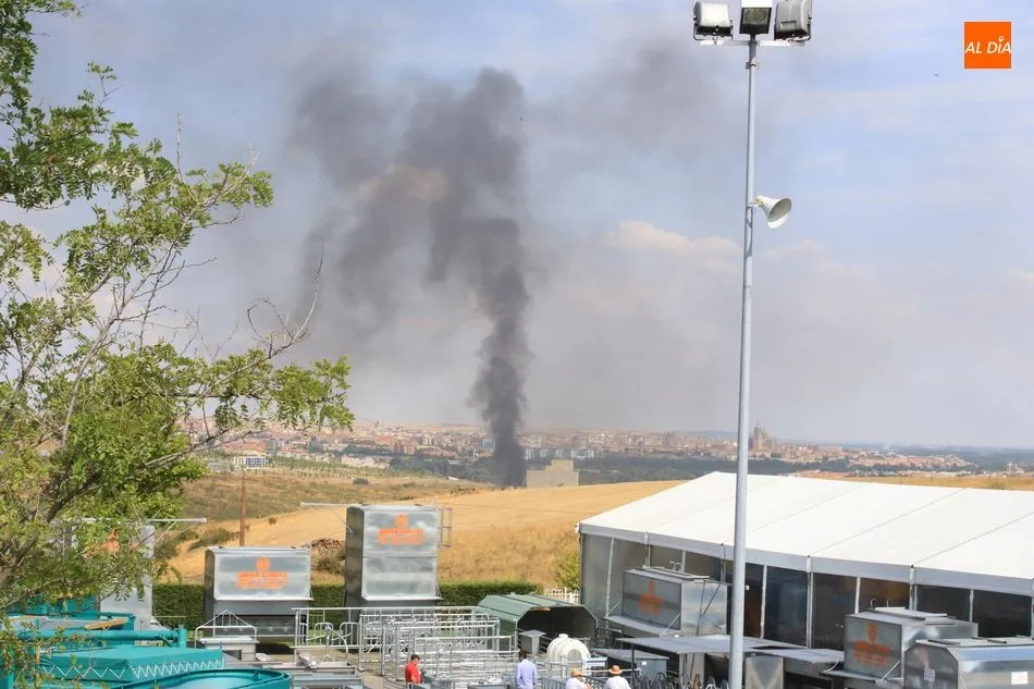 Foto 3 - Aparatoso incendio en una rotonda de Tejares