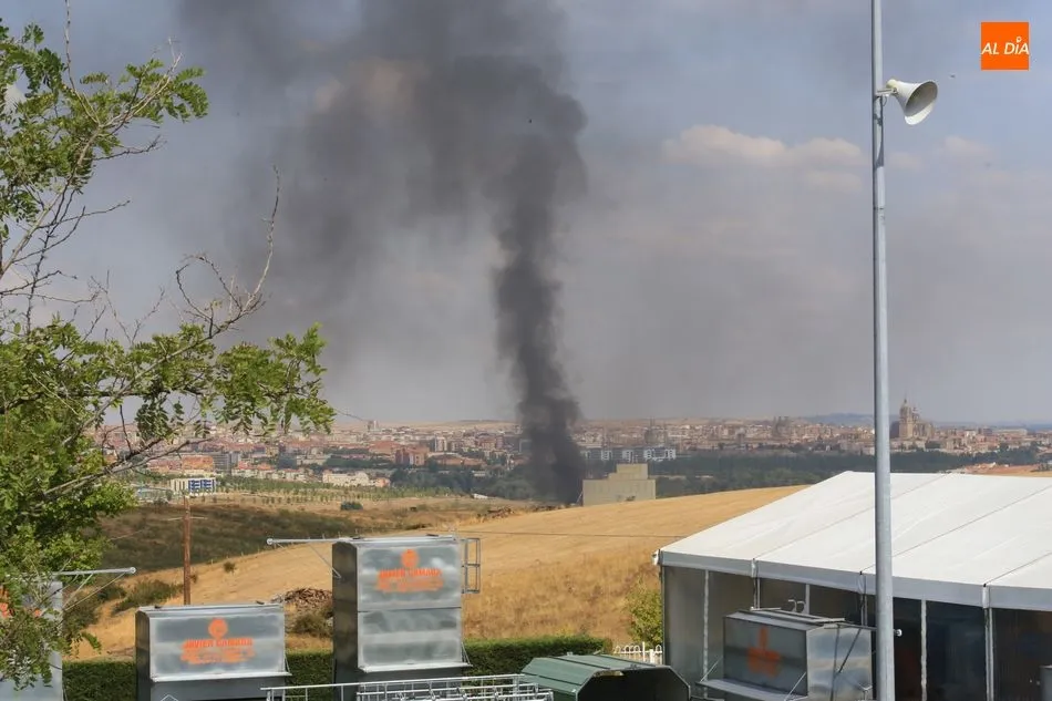 Foto 2 - Aparatoso incendio en una rotonda de Tejares