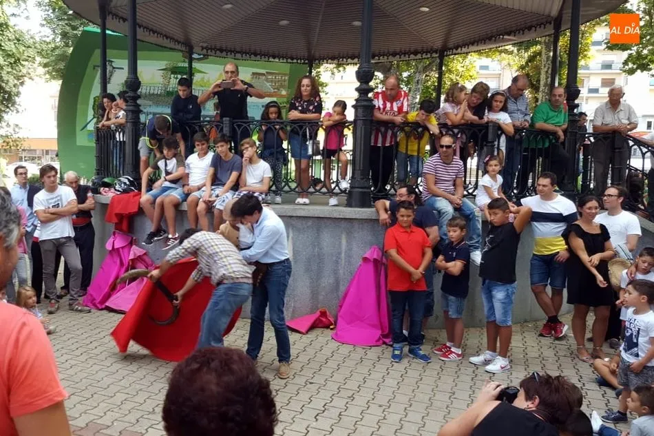 Foto 7 - Toreo de Sal&oacute;n en el parque municipal con El Capea  