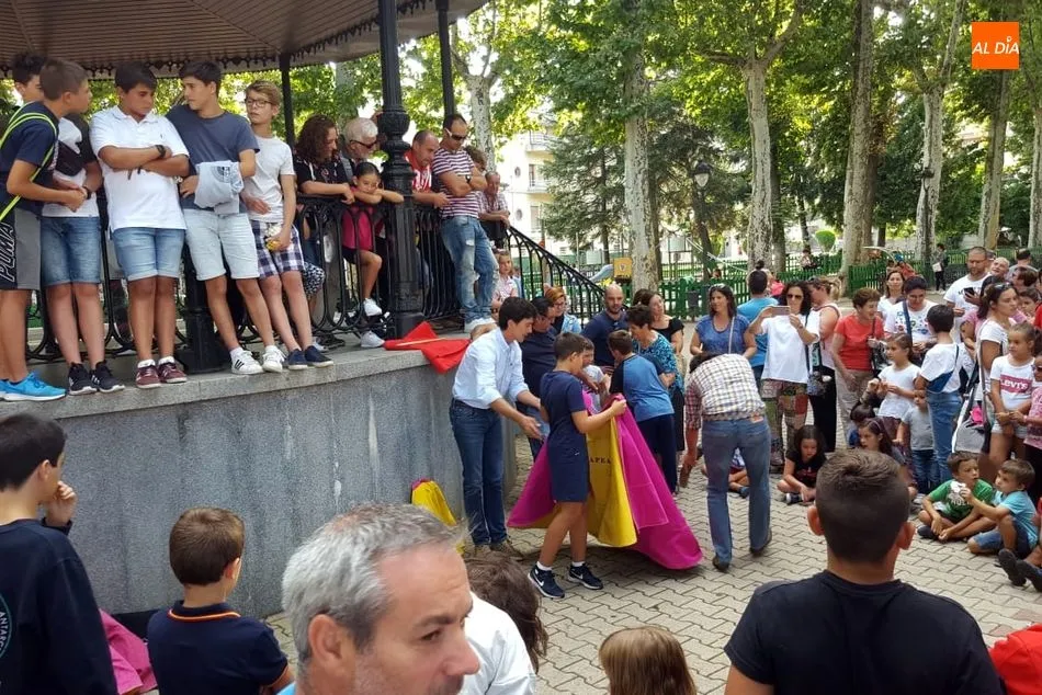 Foto 6 - Toreo de Sal&oacute;n en el parque municipal con El Capea  
