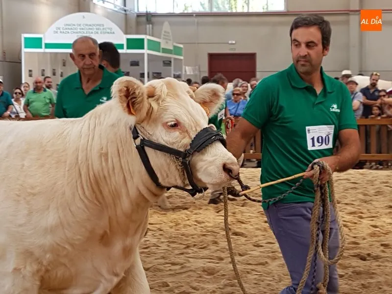 Foto 2 - Los ganaderos, siempre pendientes de sus ejemplares