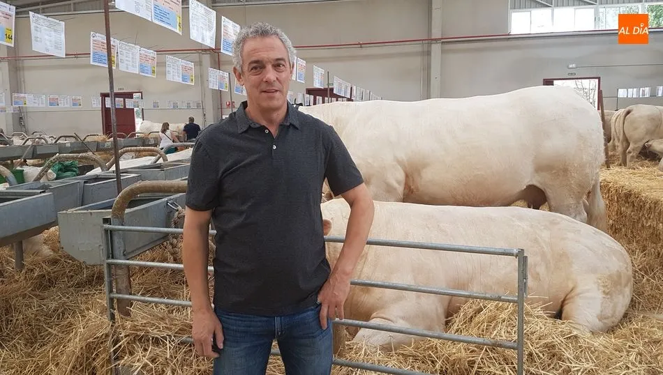 Florentino Hernanz, presidente de la Asociación de la Raza Charolesa