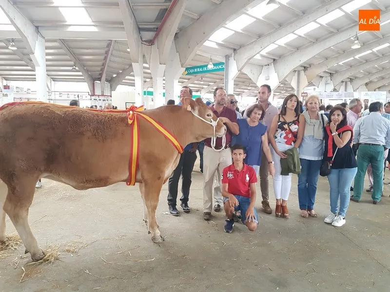 Foto 2 - &lsquo;M&oacute;nica Belucci&rsquo;, de los hermanos Mu&ntilde;oz Carrasco, campeona joven de la raza limusina