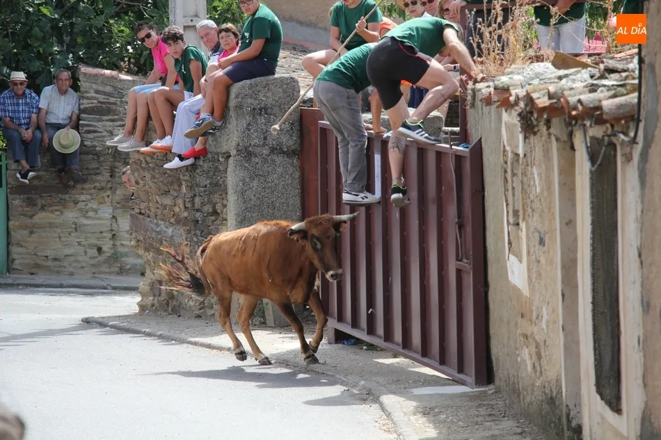 Foto 10 - Un herido por asta en el encierro de Villares de Yeltes  