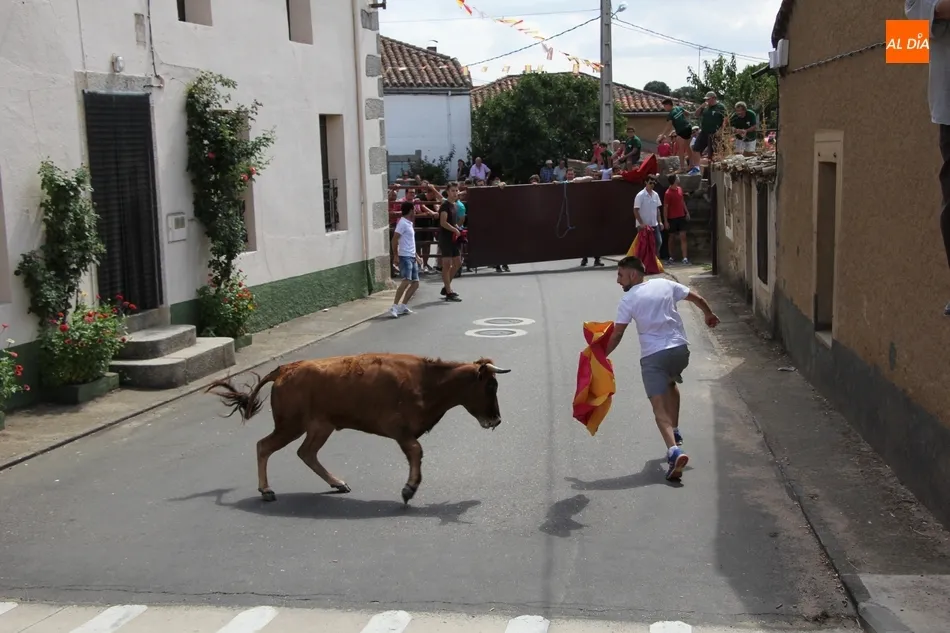 Foto 9 - Un herido por asta en el encierro de Villares de Yeltes  