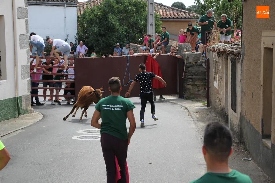 Foto 8 - Un herido por asta en el encierro de Villares de Yeltes  