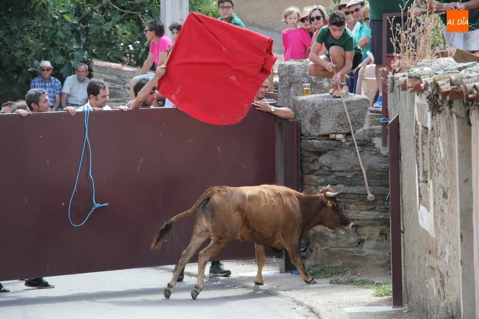 Foto 7 - Un herido por asta en el encierro de Villares de Yeltes  