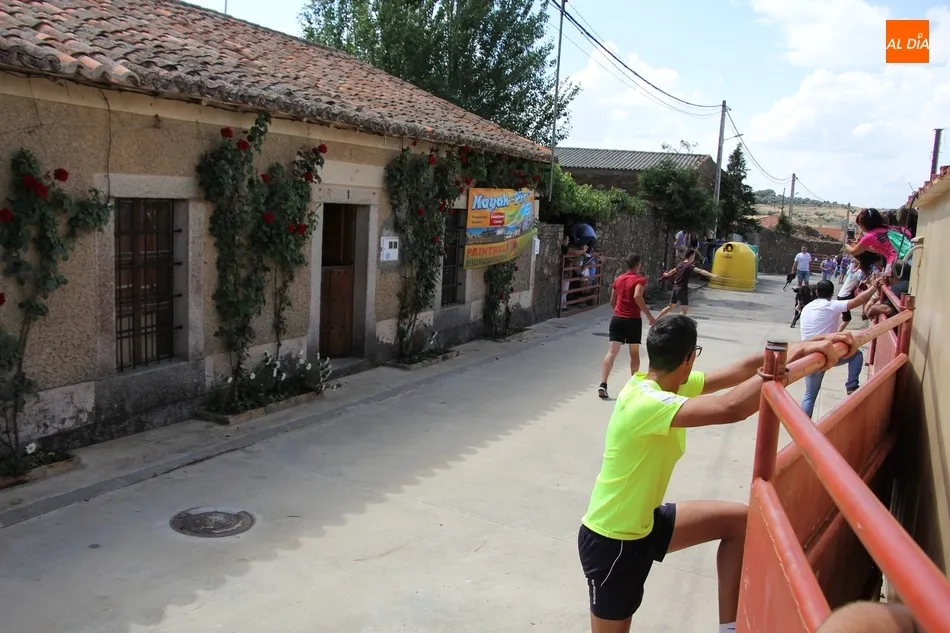 Foto 4 - Un herido por asta en el encierro de Villares de Yeltes  