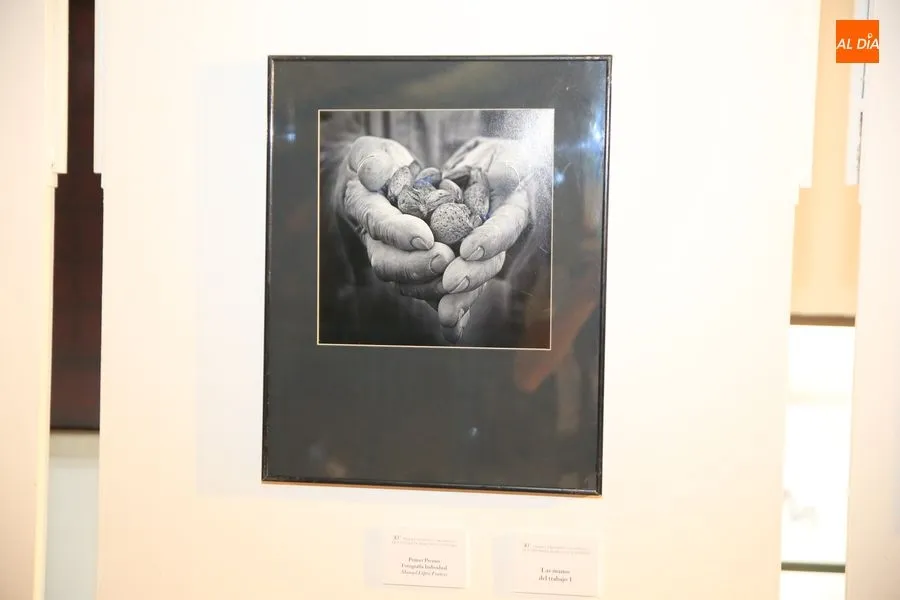 Foto 5 - Entrega de premios a los galardonados en el 30&ordm; Concurso Nacional &lsquo;Salamanca&rsquo; de Fotograf&iacute;a...