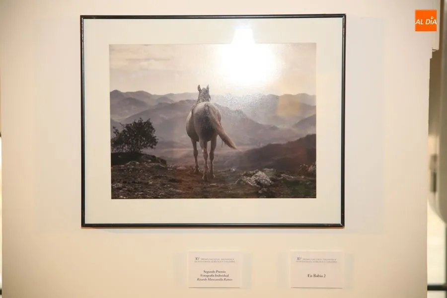 Foto 3 - Entrega de premios a los galardonados en el 30&ordm; Concurso Nacional &lsquo;Salamanca&rsquo; de Fotograf&iacute;a...