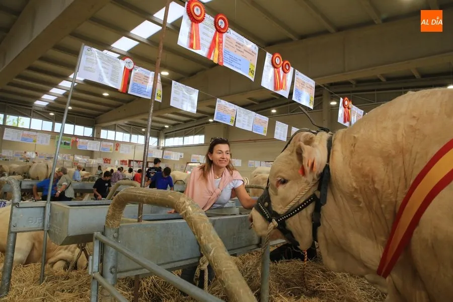 Foto 4 - &lsquo;Hern&aacute;n&rsquo;, un toro del salmantino Alberto Mart&iacute;n Gallego, gran campe&oacute;n de la raza charolesa&nbsp;
