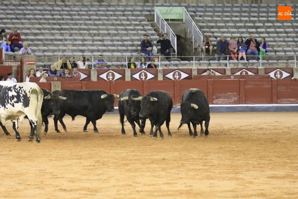 Foto 11 - Poco cuajo y caras c&oacute;modas en el tradicional desenjaule