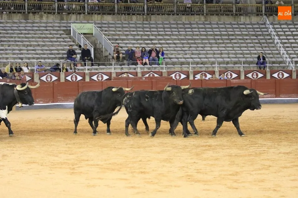 Foto 10 - Poco cuajo y caras c&oacute;modas en el tradicional desenjaule