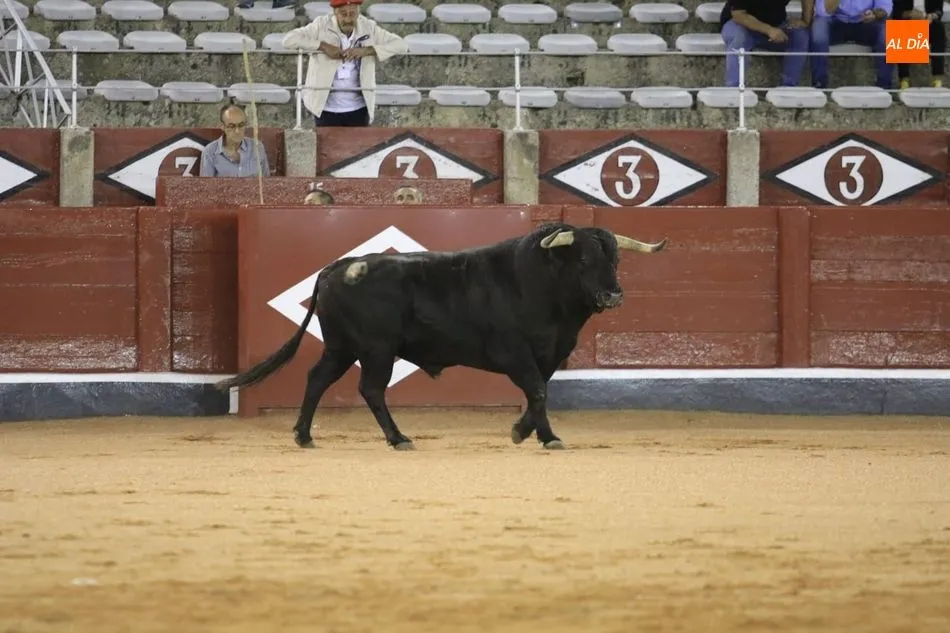 Foto 9 - Poco cuajo y caras c&oacute;modas en el tradicional desenjaule