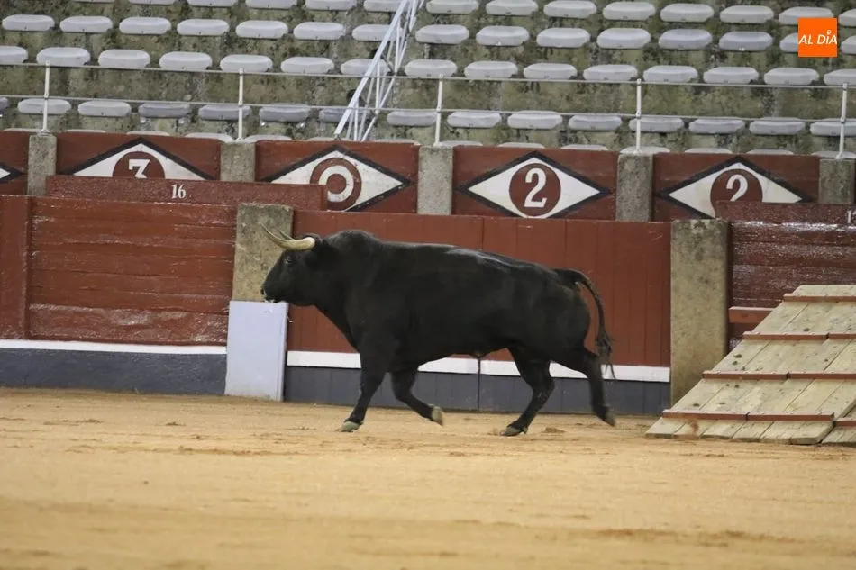 Foto 8 - Poco cuajo y caras c&oacute;modas en el tradicional desenjaule