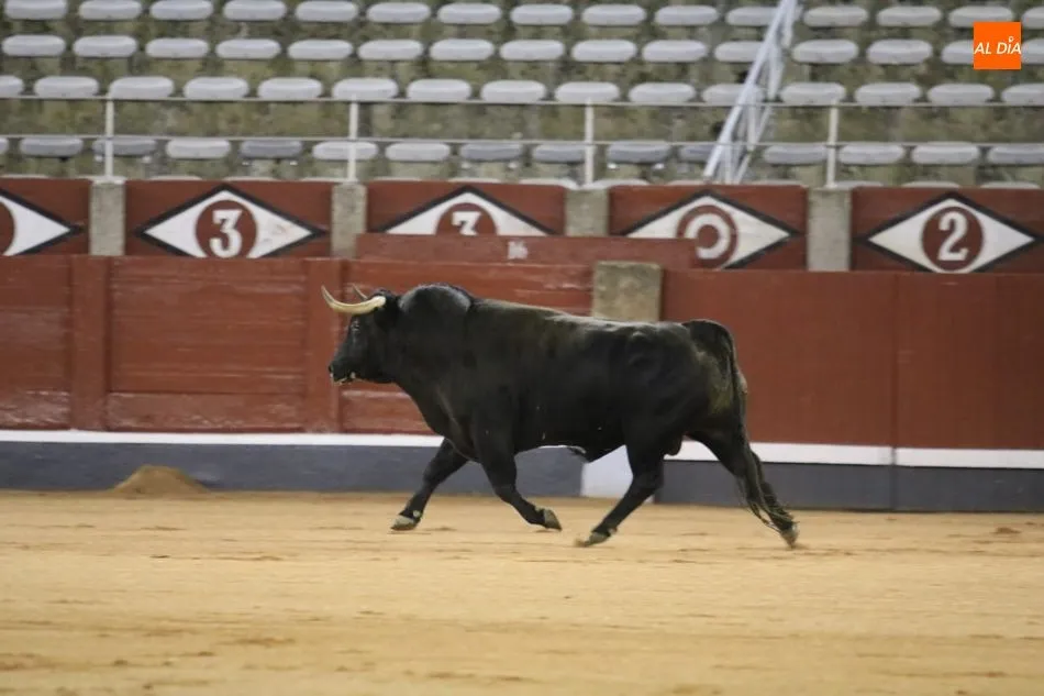 Foto 7 - Poco cuajo y caras c&oacute;modas en el tradicional desenjaule