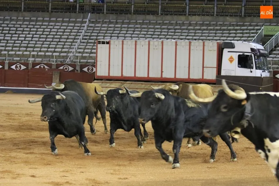 Foto 6 - Poco cuajo y caras c&oacute;modas en el tradicional desenjaule