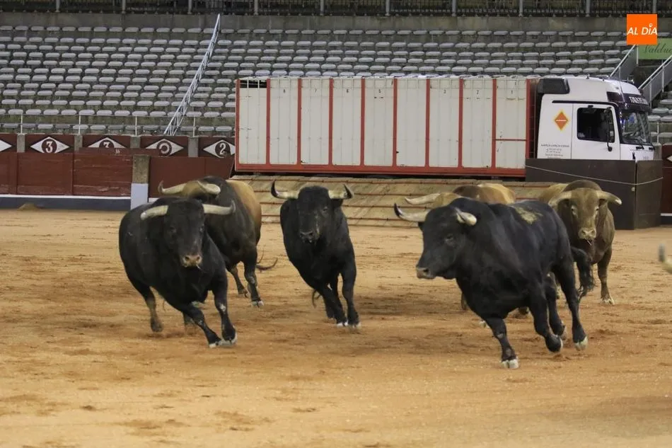 Foto 5 - Poco cuajo y caras c&oacute;modas en el tradicional desenjaule