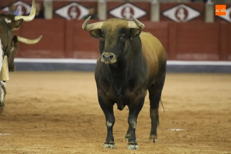 Foto 3 - Poco cuajo y caras c&oacute;modas en el tradicional desenjaule