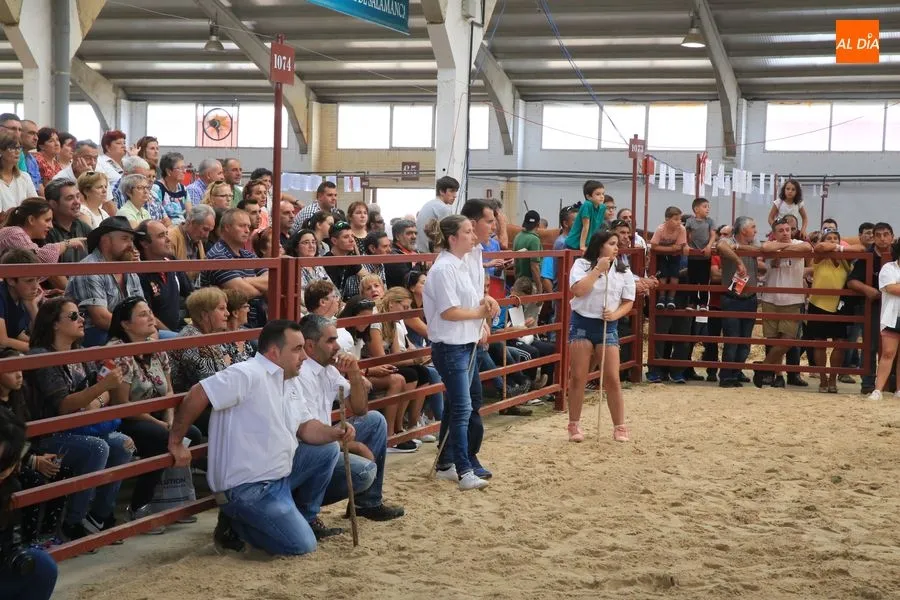 Foto 2 - Resultados de la primera jornada de concurso de la raza Blonda de Aquitania