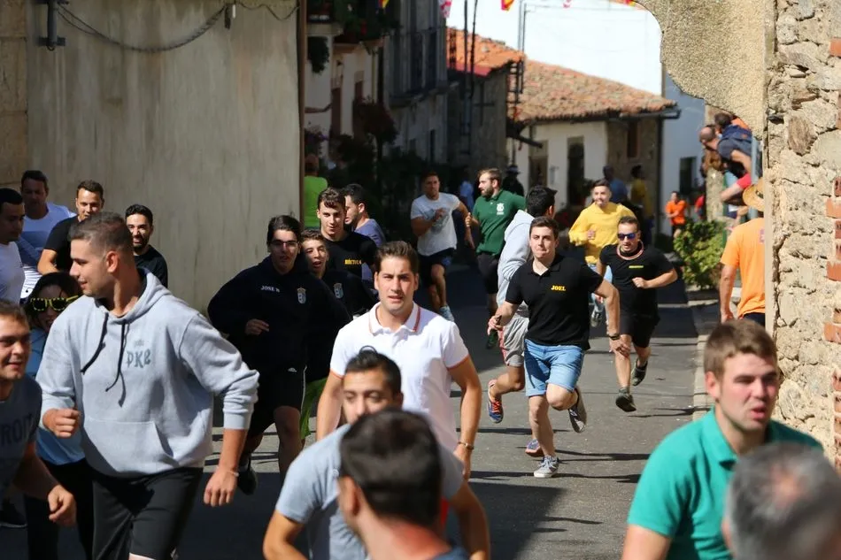 Animado encierro de Martín Cilleros en las fiestas de Mieza / CORRAL Y MARIBEL SÁNCHEZ