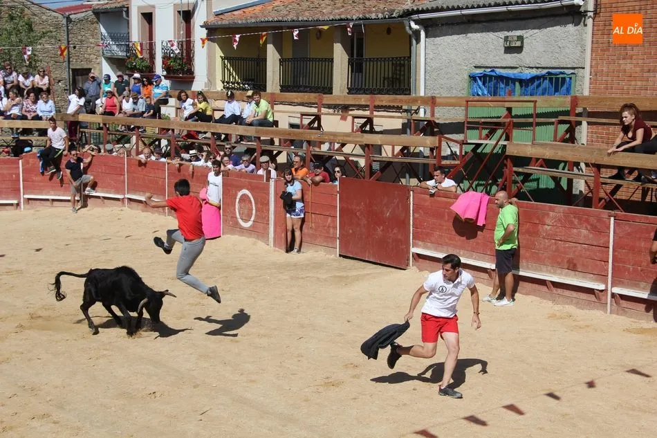 Foto 10 - Animado encierro de Mart&iacute;n Cilleros en las fiestas de Mieza  