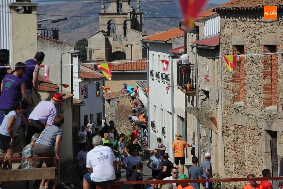 Foto 11 - Animado encierro de Mart&iacute;n Cilleros en las fiestas de Mieza  