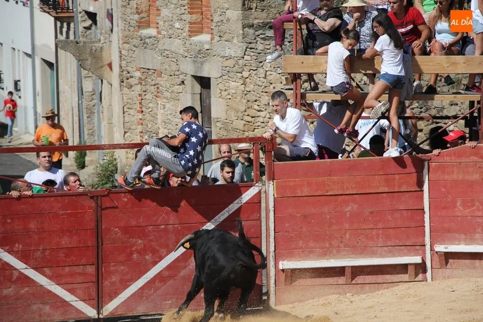 Foto 5 - Animado encierro de Mart&iacute;n Cilleros en las fiestas de Mieza  