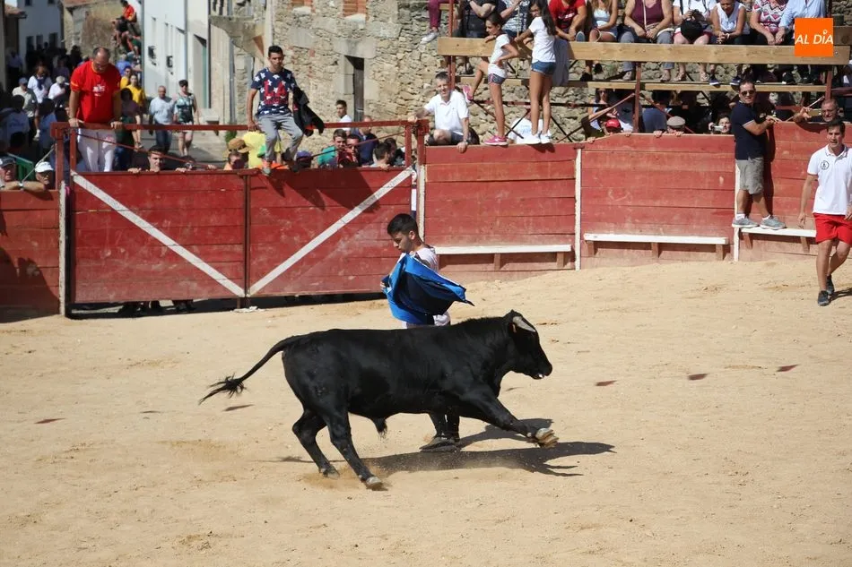 Foto 3 - Animado encierro de Mart&iacute;n Cilleros en las fiestas de Mieza  