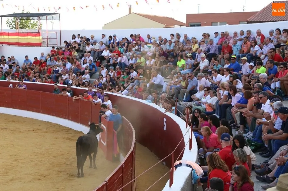 Foto 11 - Espectacular encuentro de tauromaquias populares en Villoria