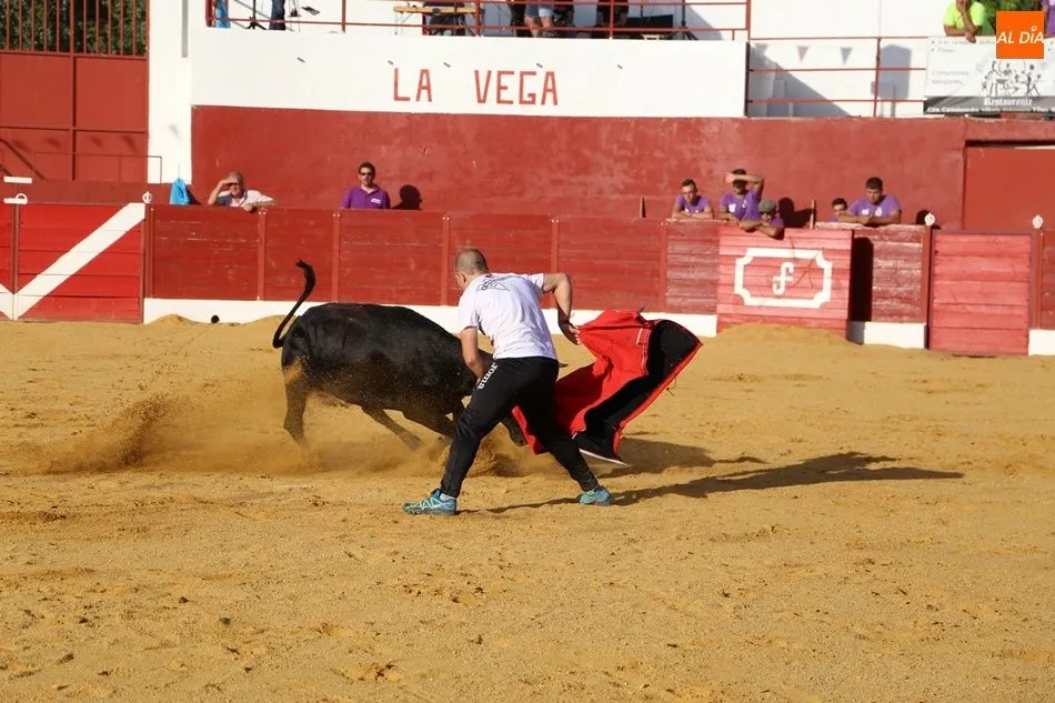 Foto 10 - Espectacular encuentro de tauromaquias populares en Villoria