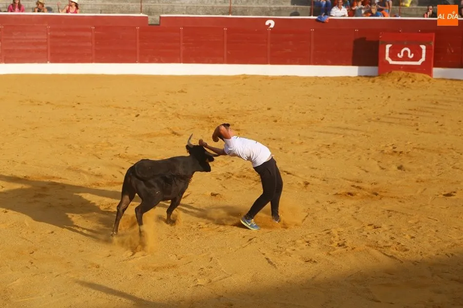 Foto 9 - Espectacular encuentro de tauromaquias populares en Villoria