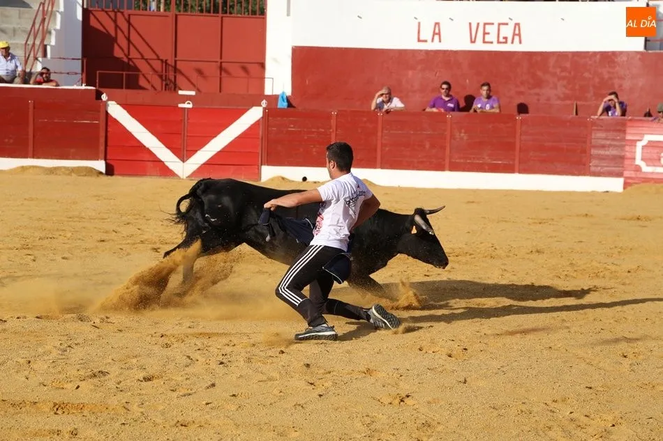 Foto 8 - Espectacular encuentro de tauromaquias populares en Villoria