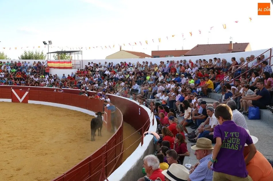 Foto 7 - Espectacular encuentro de tauromaquias populares en Villoria