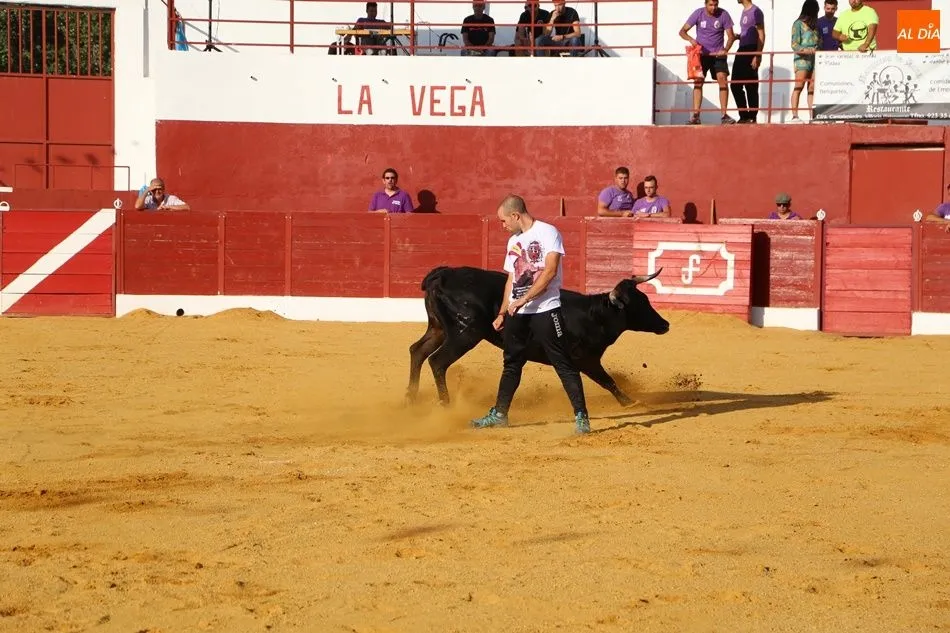 Foto 5 - Espectacular encuentro de tauromaquias populares en Villoria
