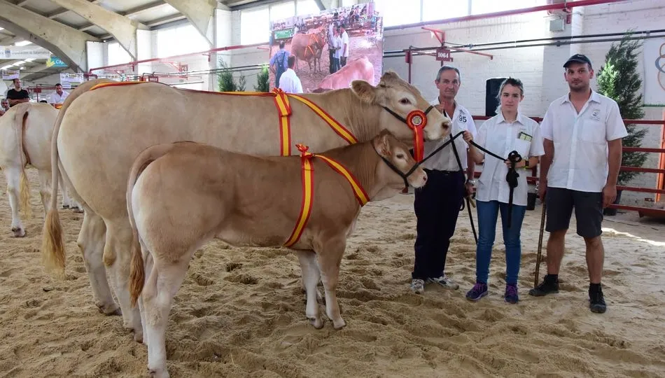Foto 3 - &lsquo;I&oacute;n&rsquo; y &lsquo;Greca&rsquo;, campeones del IX concurso nacional de la raza Blonda de Aquitania