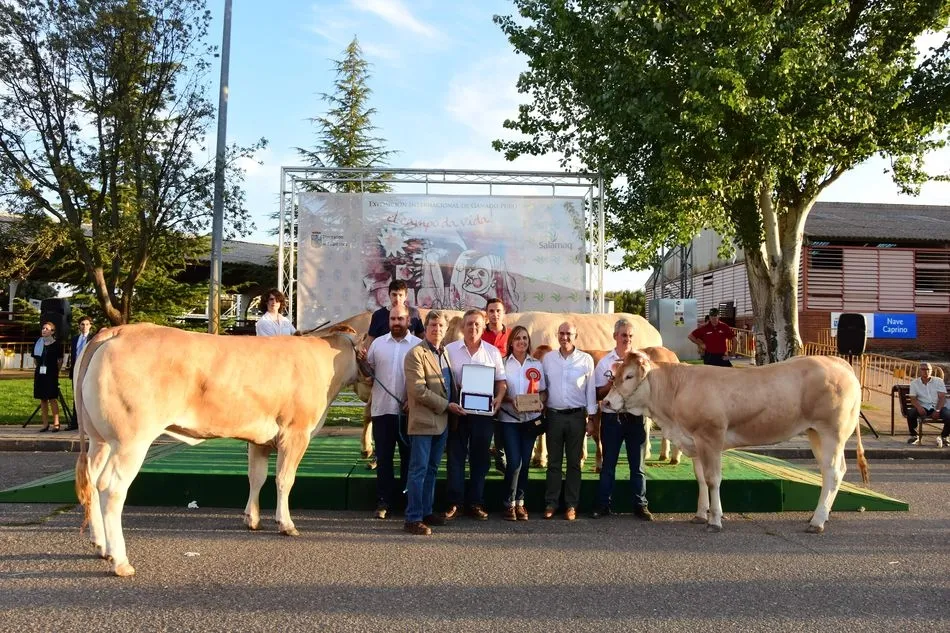 Foto 6 - &lsquo;I&oacute;n&rsquo; y &lsquo;Greca&rsquo;, campeones del IX concurso nacional de la raza Blonda de Aquitania