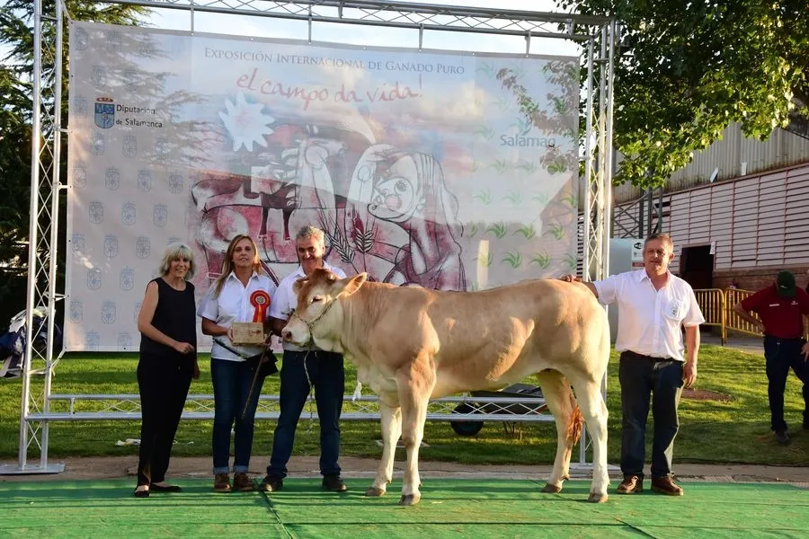 Foto 11 - Los mejores ganaderos de los concursos reciben sus premios