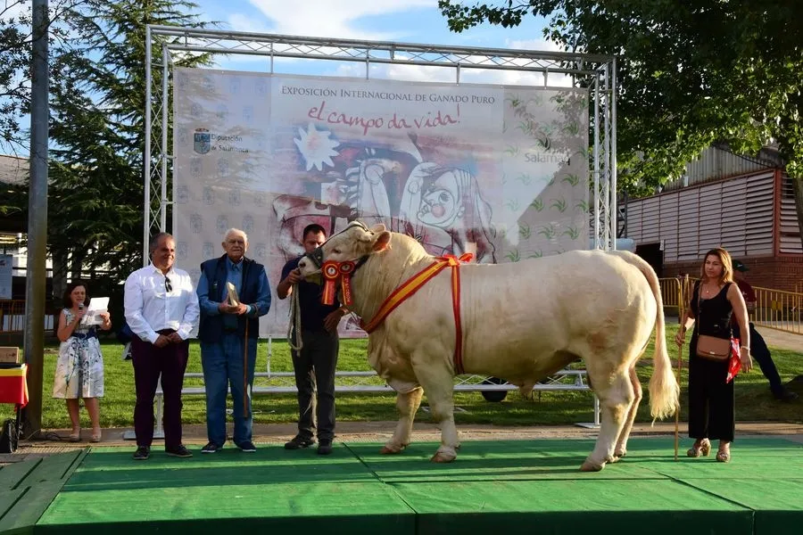 Foto 5 - Los mejores ganaderos de los concursos reciben sus premios