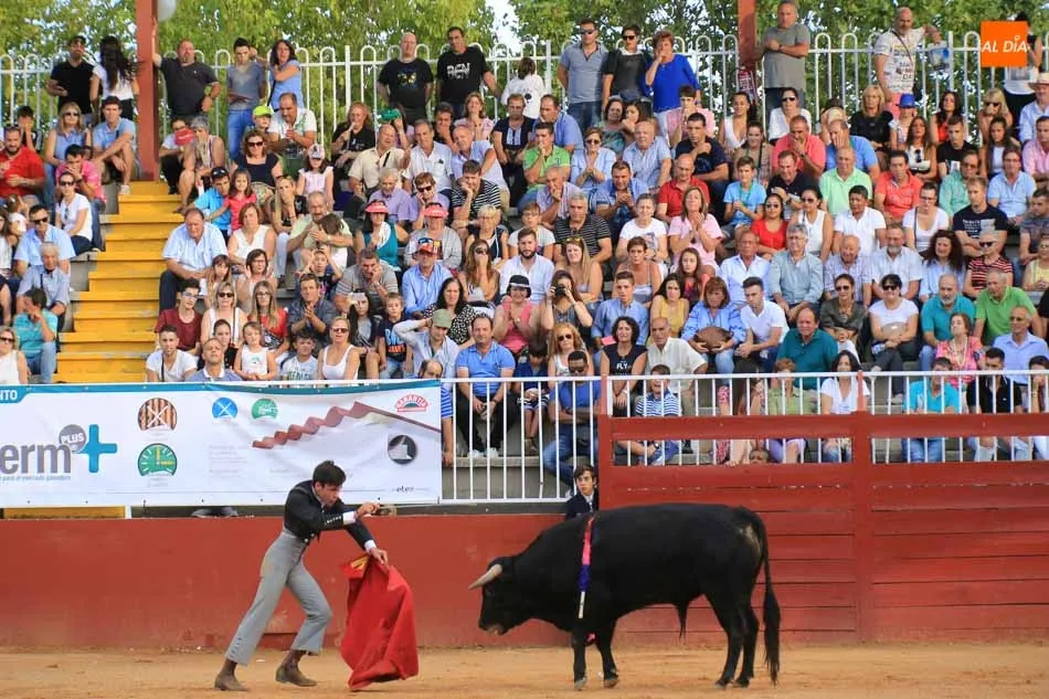 Foto 4 - Ismael Mart&iacute;n, vencedor del Certamen de Escuelas de Tauromaquia en Clases Pr&aacute;cticas