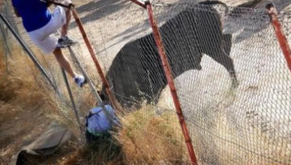 El incidente se produjo alrededor de las nueve y cuarto de la mañana del sábado. Foto de El Norte de Castilla