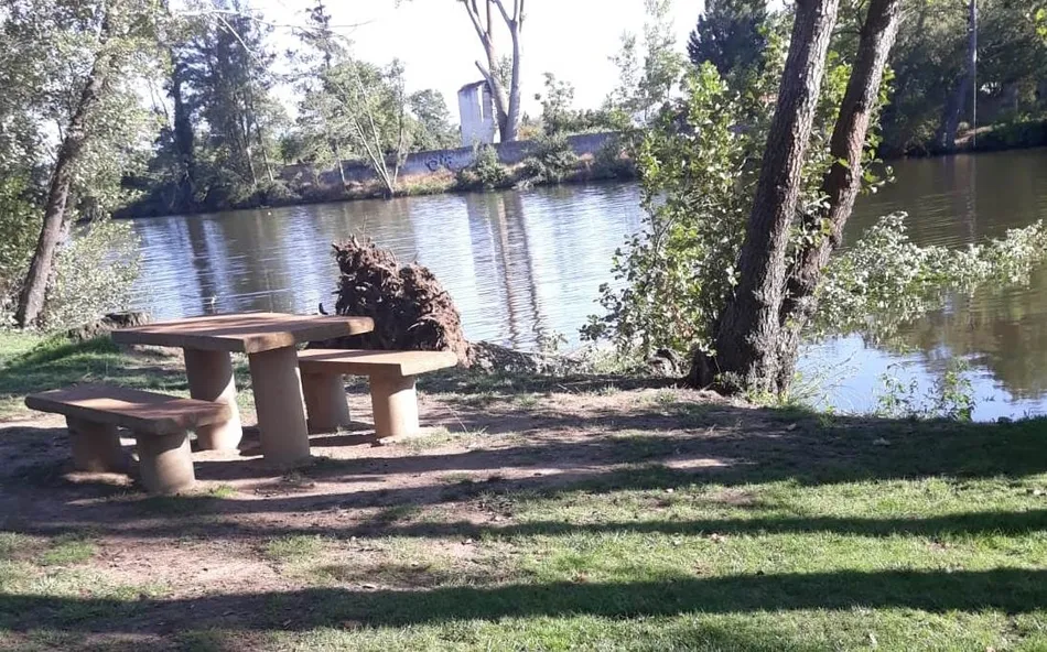 Foto 6 - Caen al agua dos &aacute;rboles en la isla de El Pic&oacute;n  