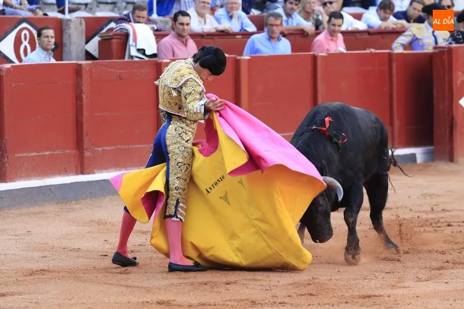 Foto 5 - Antonio Grande abre la primera puerta grande de la Feria  