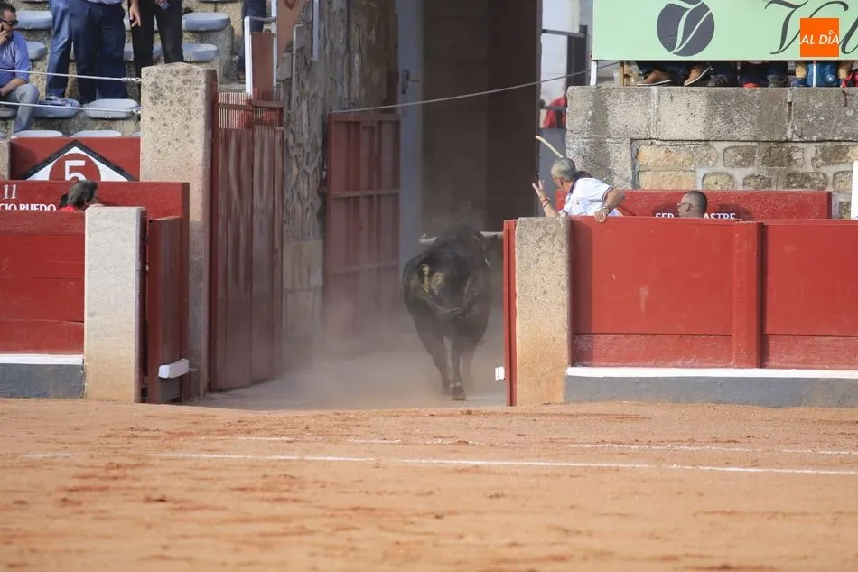 Foto 8 - Antonio Grande abre la primera puerta grande de la Feria  
