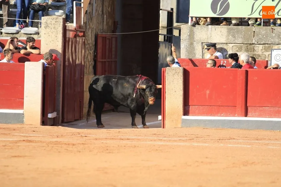 Foto 6 - &lsquo;Liricoso&rsquo;, de Montalvo, indultado por Antonio Ferrera  