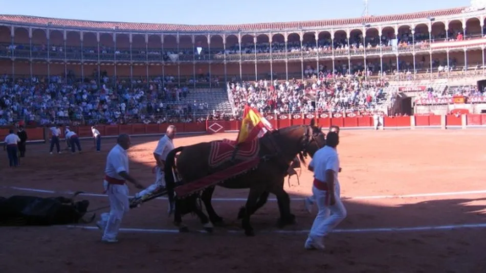 Arrastre de mulillas en la Feria de Salamanca