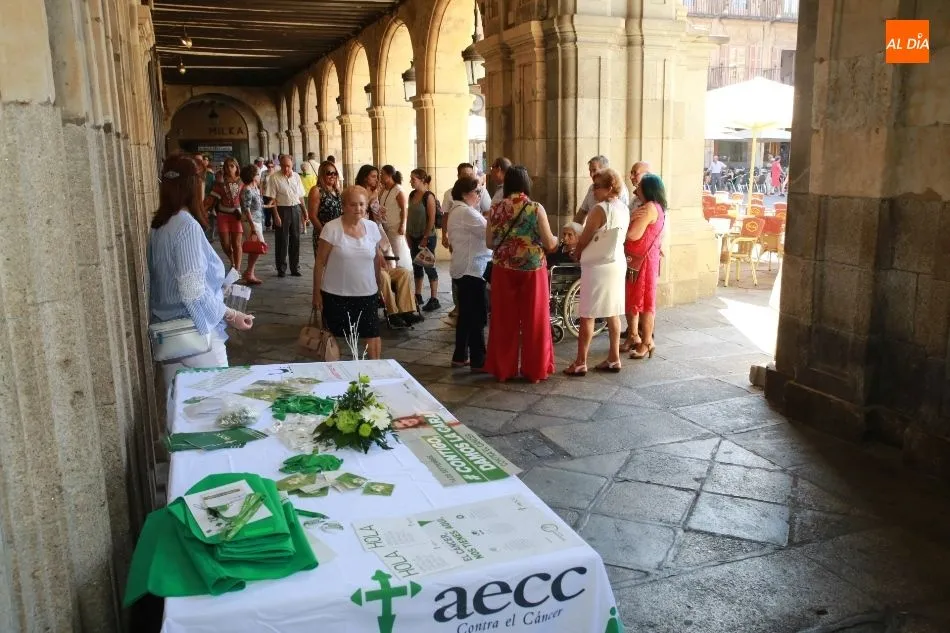 Foto 4 - Cerca de 300 voluntarios colaboran en la cuestaci&oacute;n contra el c&aacute;ncer