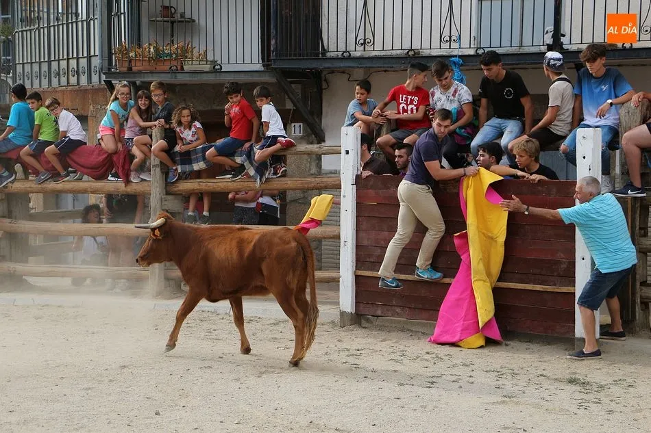 Los jóvenes y los más valientes saltaron a la plaza de Puerto de Béjar para sortear los envites de las vaquillas